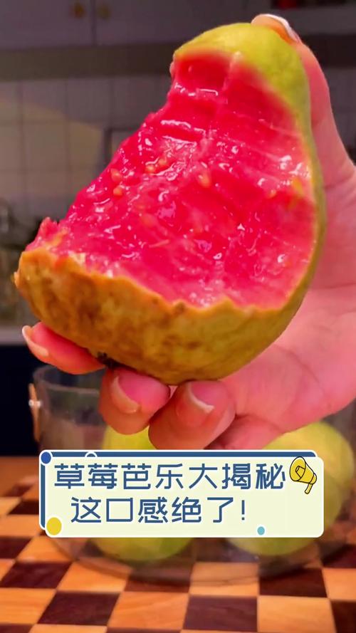 草莓芭乐汅api免费