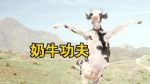 奶牛影视