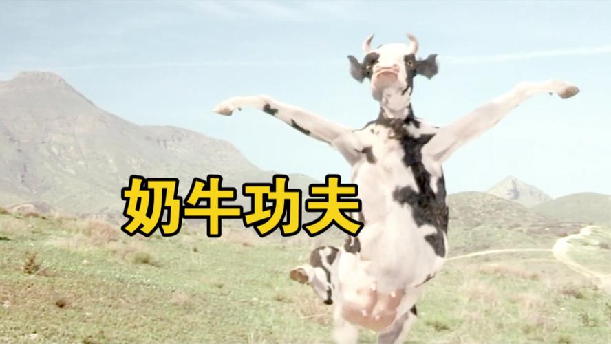 奶牛影视