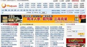 久久99精品久久久久久hb影视