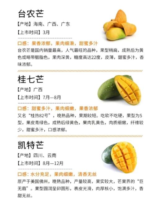 一二三四区别芒果乱码