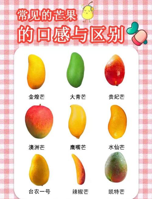 一二三四区别芒果乱码