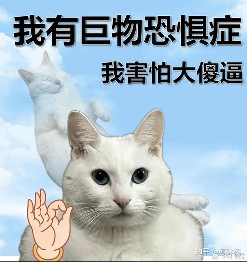 我对象那东西太大我都害怕