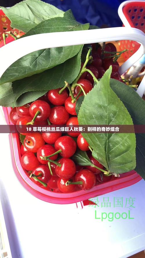 小蝌蚪草莓樱桃丝瓜绿巨人app