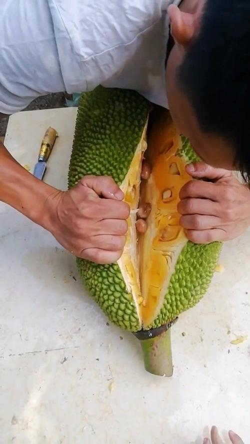 菠萝蜜菠萝蜜菠萝蜜免费视频