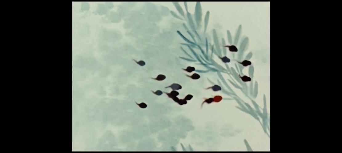 蝌蚪99r精品视频这里免费