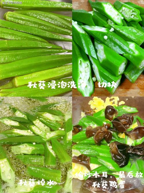 秋葵草莓丝瓜黄瓜榴莲大全污污免费版