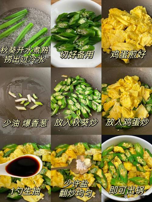 秋葵草莓丝瓜黄瓜榴莲大全污污免费版