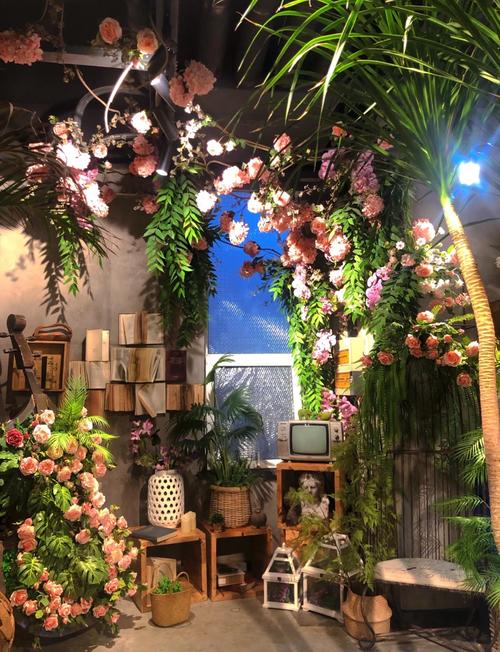 花房直播间app花房