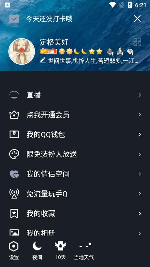 qqcvip五年沉淀只做精品ios下载