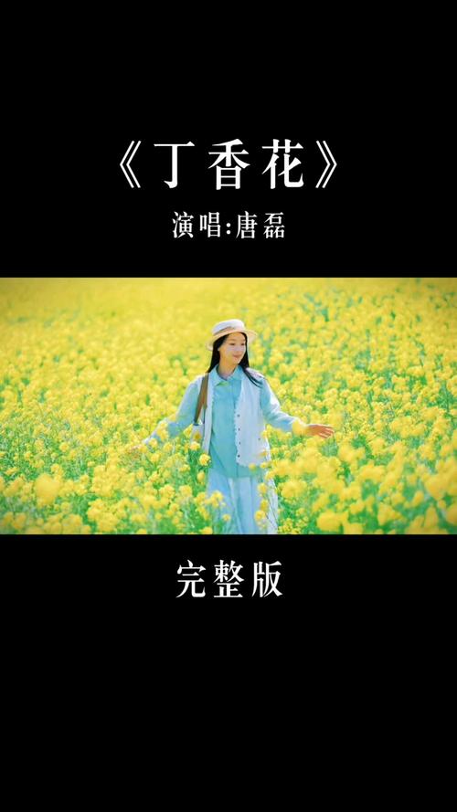 丁香花影视在线