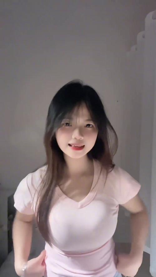 gogogo日本免费观看电视优质版