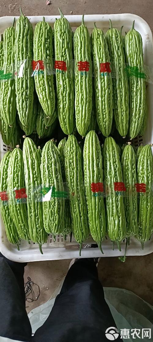 茄子草莓香蕉丝瓜秋葵无限观