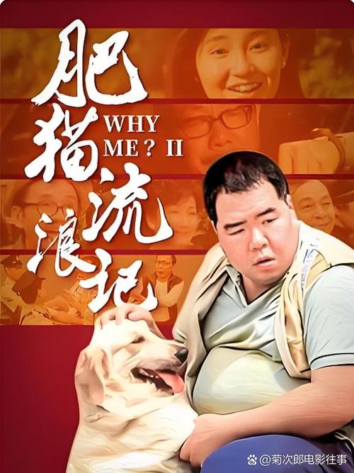 肥猫影视app正版下载