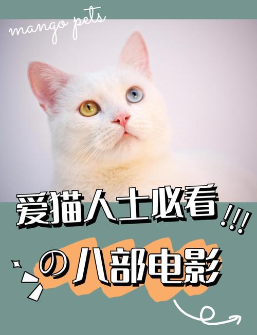 8小猫电影院