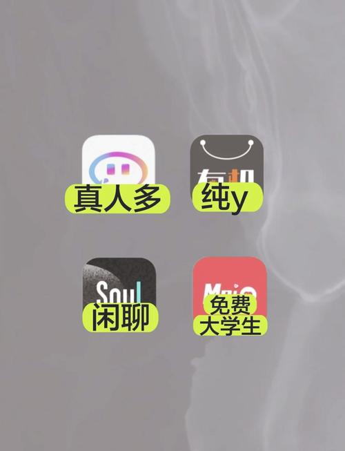 不花钱的聊天软件哪个最火