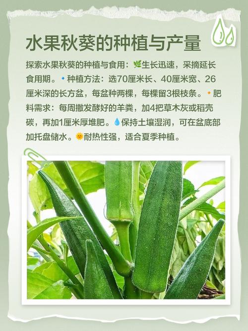 秋葵黄瓜绿巨人香蕉向日葵草莓