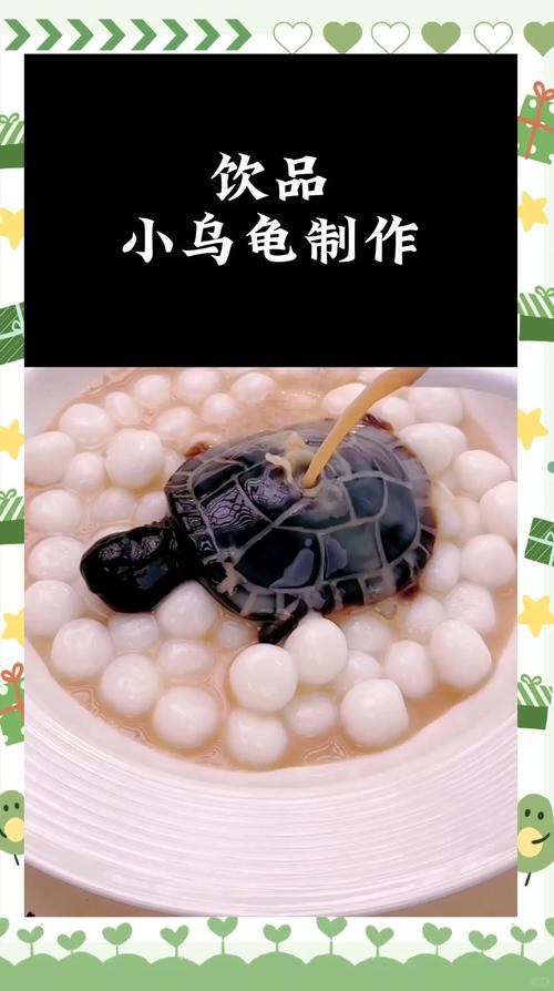 我的小乌龟想进入扇贝视频