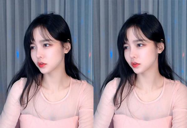 猫咪最新VIPapk污