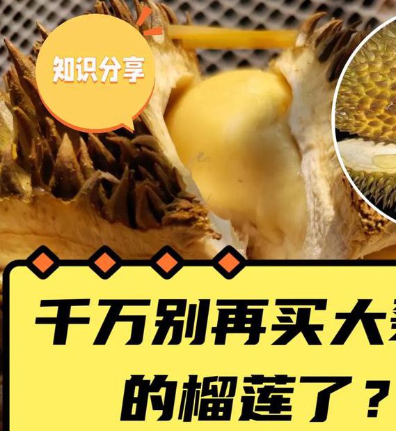 性宝福樱桃丝瓜小猪榴莲在线