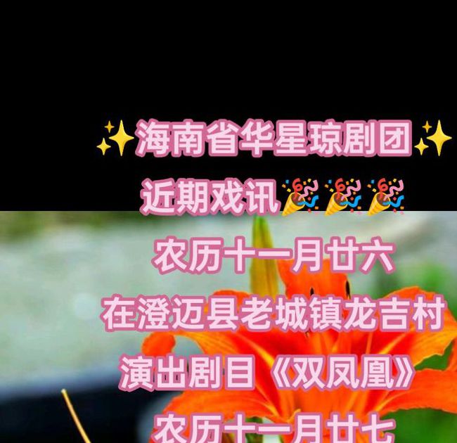 新俏佳人2025忘忧草