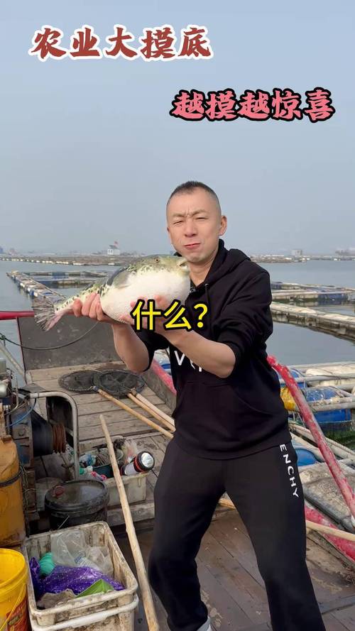 河豚直播免费版