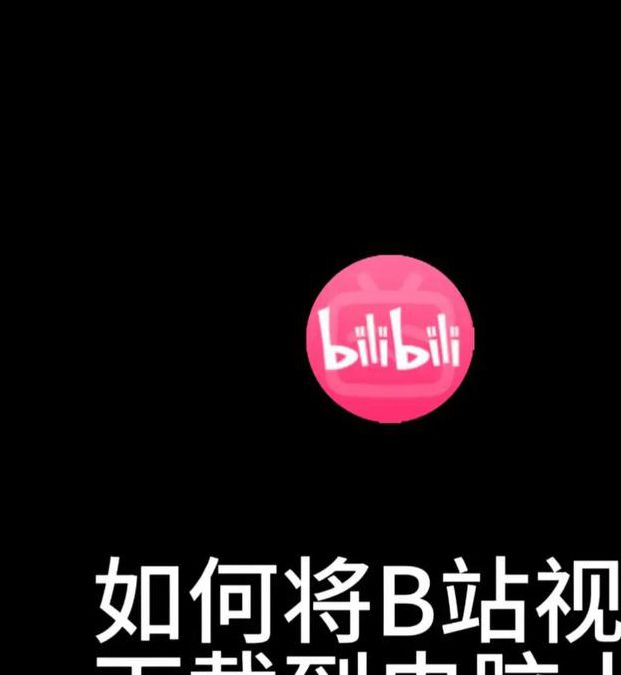 一个人看的www视频哔哩哔哩