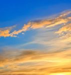 秋水一色app官网