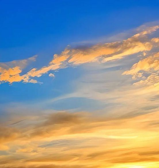 秋水一色app官网