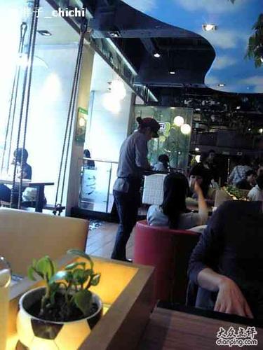 b站菊花project bgm 仙踪林最新版