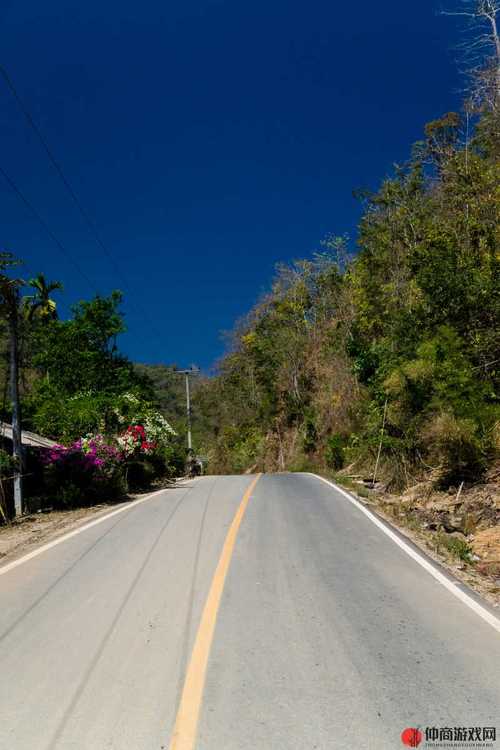 海角社区回家的路