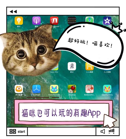猫咪1.3.0最新下载ios