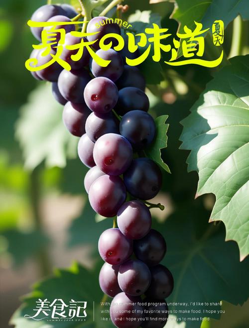 葡萄影视无广告版