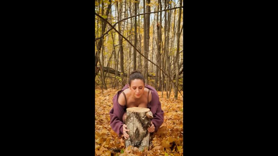 高H噗呲噗呲欧美视频