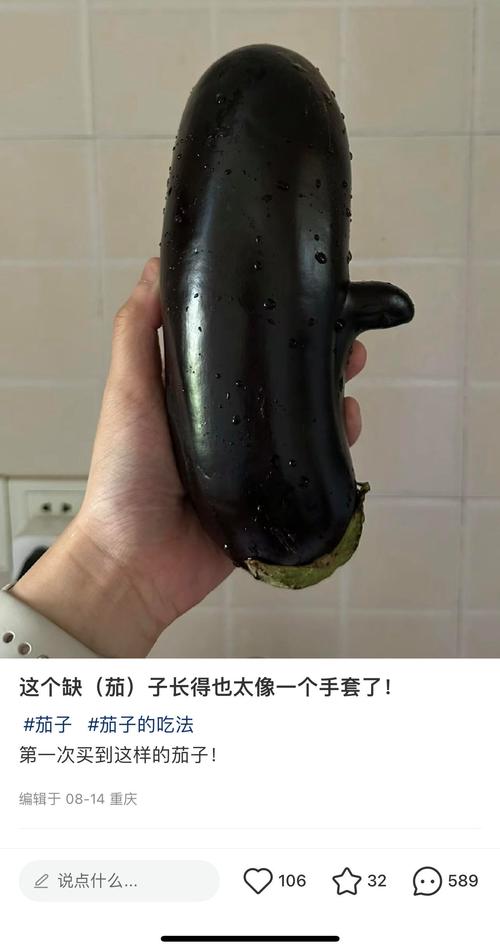 茄子香蕉番茄草莓污永久免费版最新