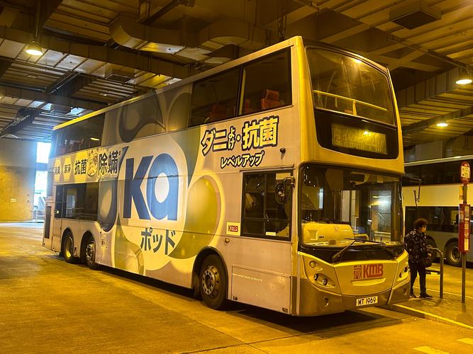 总站大厅4在线观看