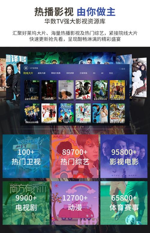 2828影视网线观看