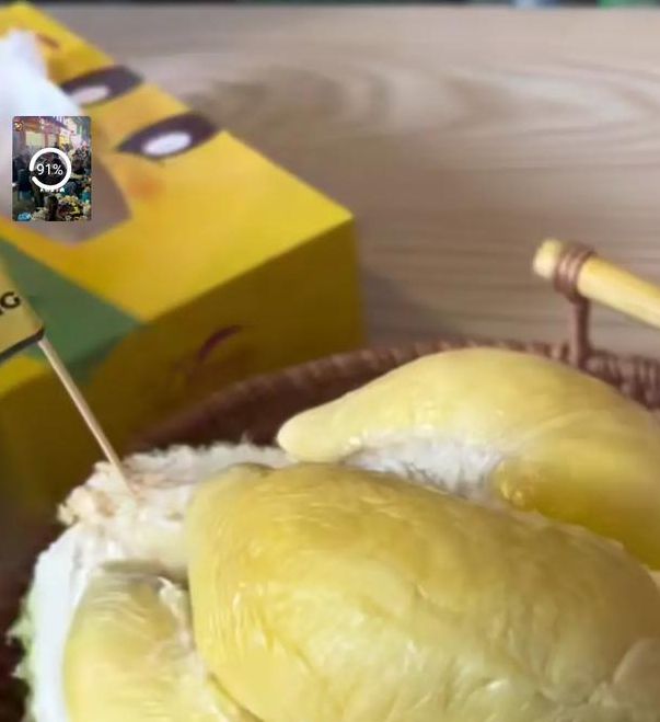 榴莲无限观影榴莲忘返