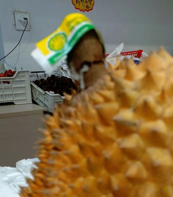 榴莲无限观影榴莲忘返