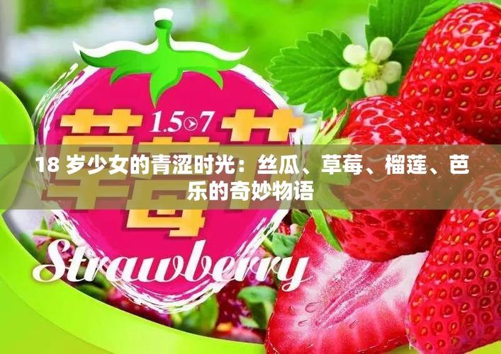 芭乐丝瓜向日葵草莓榴莲