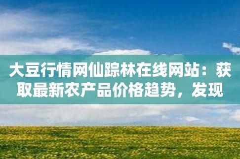 仙踪林WWW大豆行情