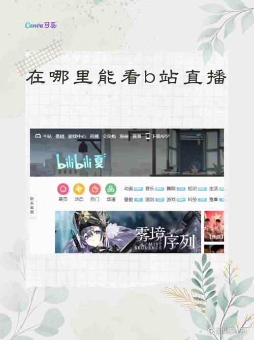 看b站直播平台