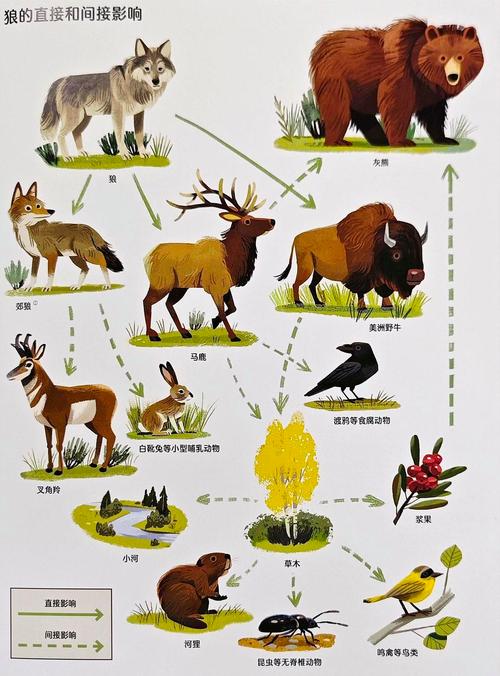 狼群社区中文第一社区完整版