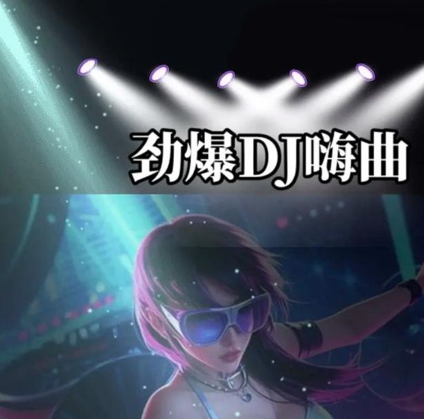 午夜dj免费高清动画