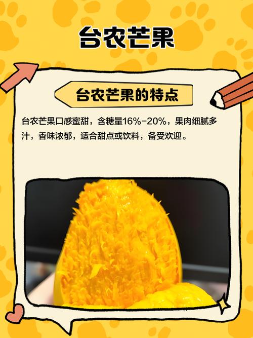 一区二区三区芒果_