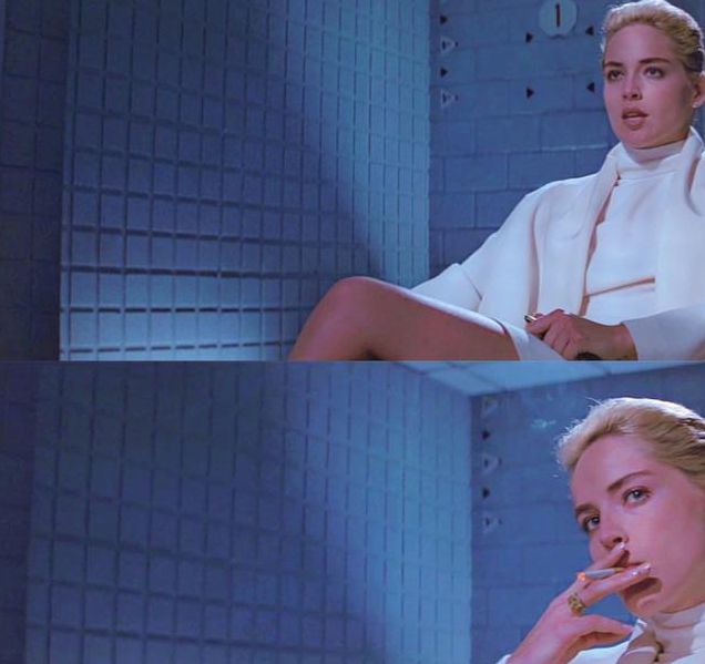 莎朗斯通本能完整版