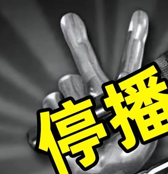 中国好声音在哪个app播放