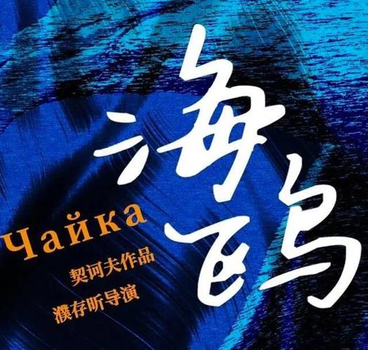 海鸥影视无广告