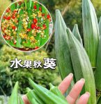 荔枝秋葵向日葵