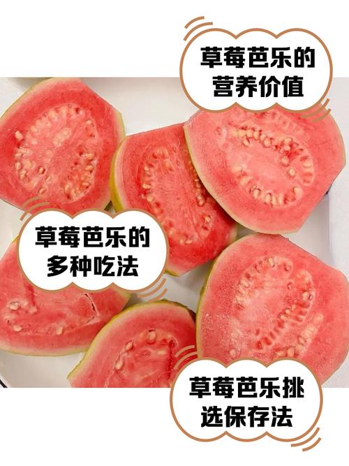 芭乐草莓向日葵